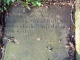 image of grave number 810501